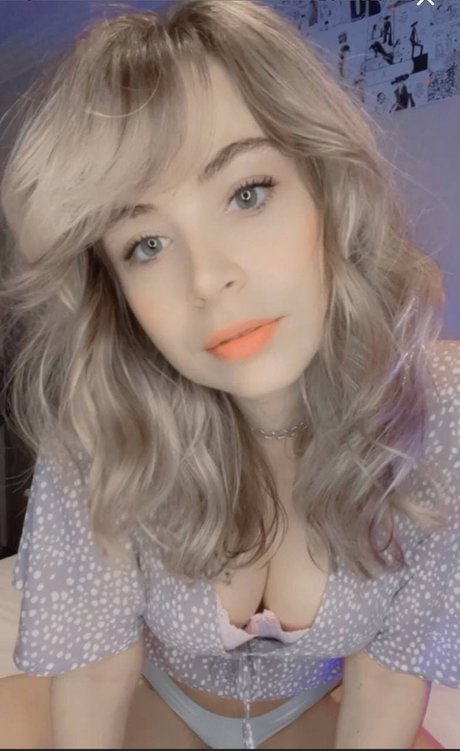 Animaechan