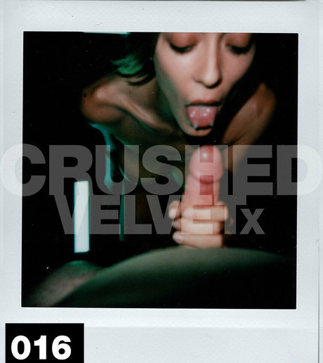 Crushedvelvetx