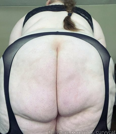 Misscurvycat