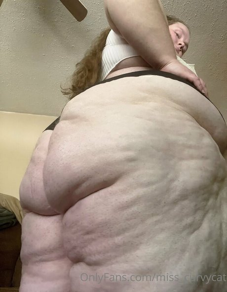 Misscurvycat