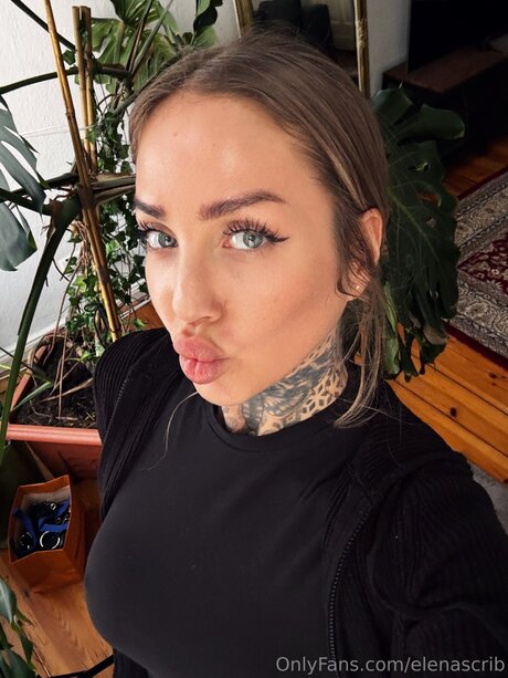 Elenascrib