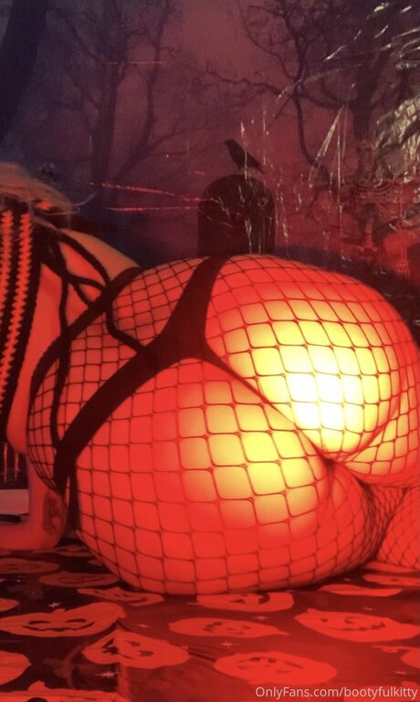 Bootyfulkitty