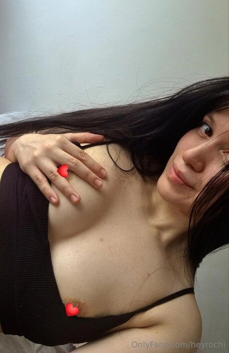 Heyrochi