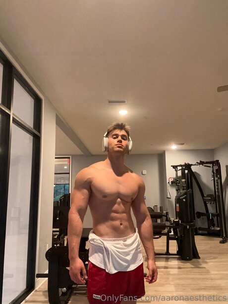 Aaronaesthetics