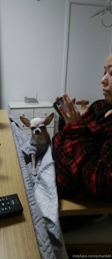 Pchan666