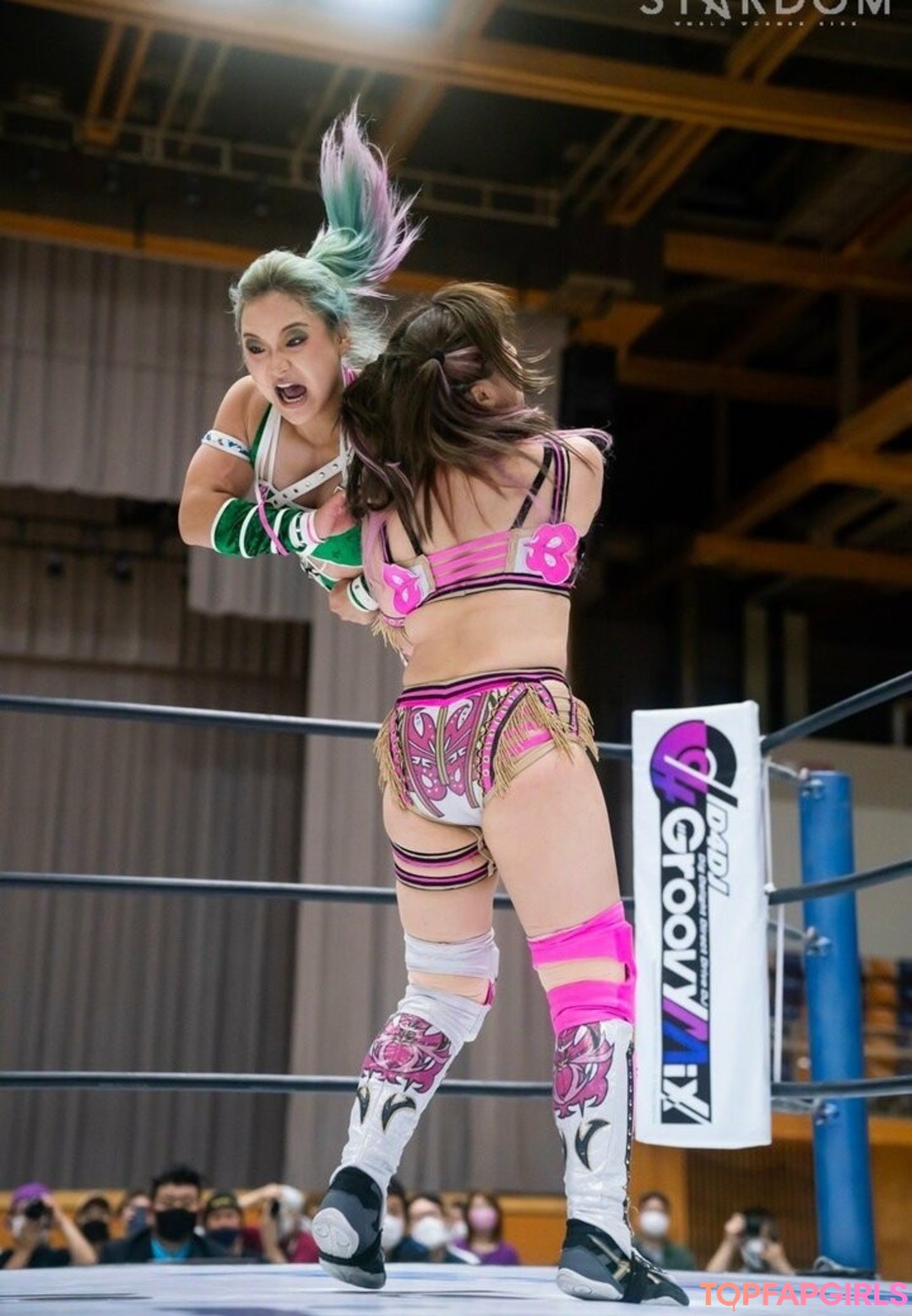 Mina Shirakawa nude leaked OnlyFans photo #1010