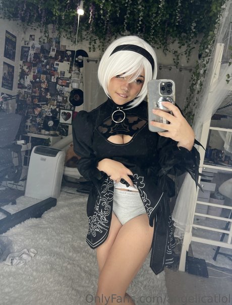 Angelicat