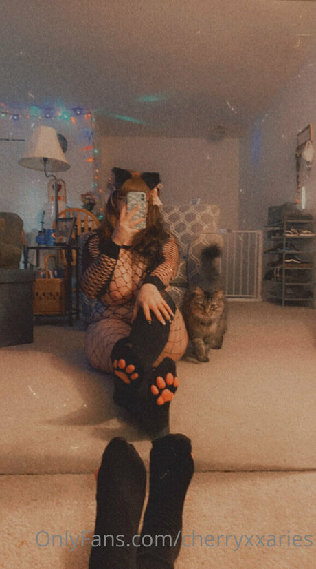 Cherryxxaries
