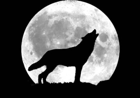 Badwolfzer0