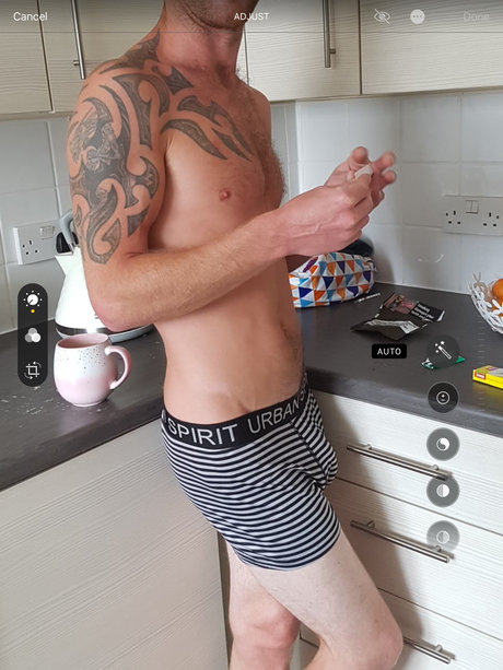 Mrgingerstud Free