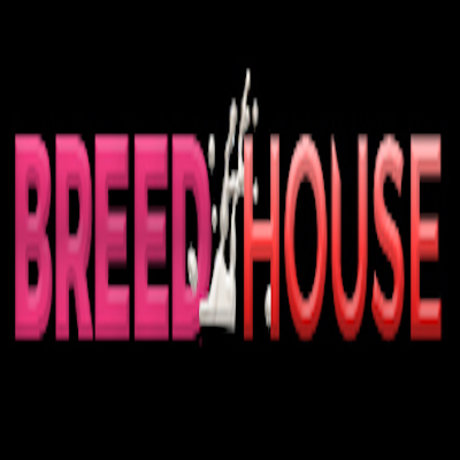 I  Giving Creampies Breedhousexxx