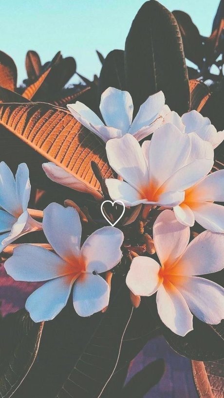 Leidiane Arajo OnlyFansリークヌード写真