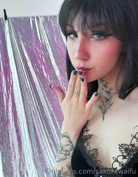 Sakurawaifu