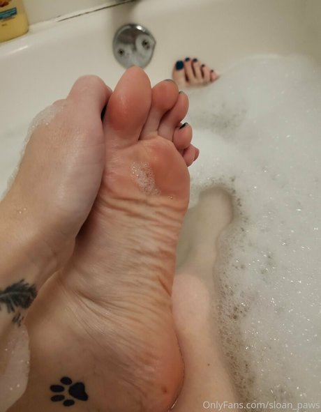 Sloan_paws