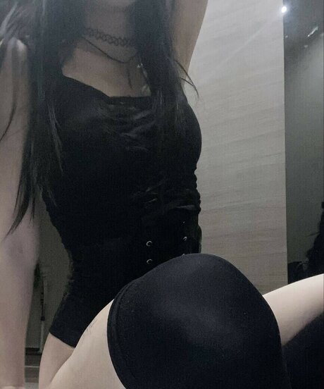 Meowmeowcatlover