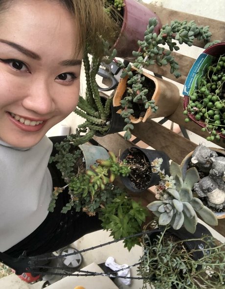 Melissa_cho_chang_free