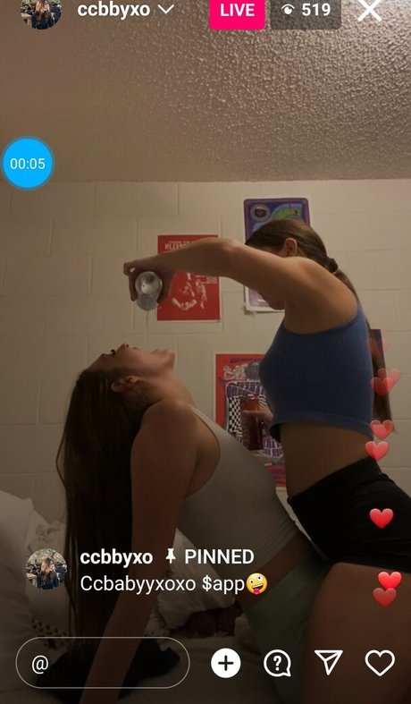 Ccbbyxo