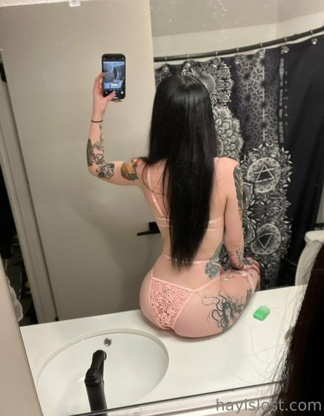 Hayislostfree