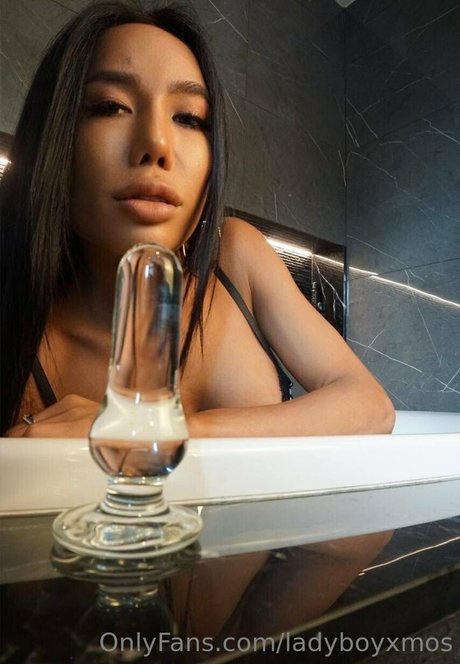 Ladyboyxmos