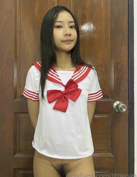 Littlepan