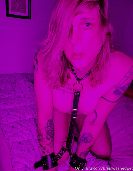 Brainwashedpet
