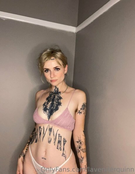 Lavenderquinn