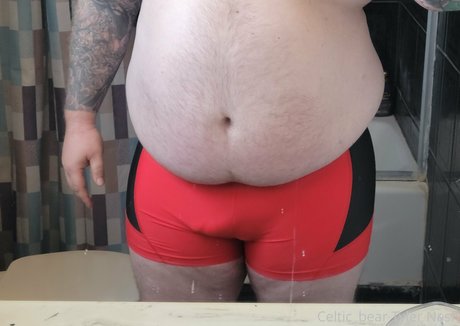 Celticbear